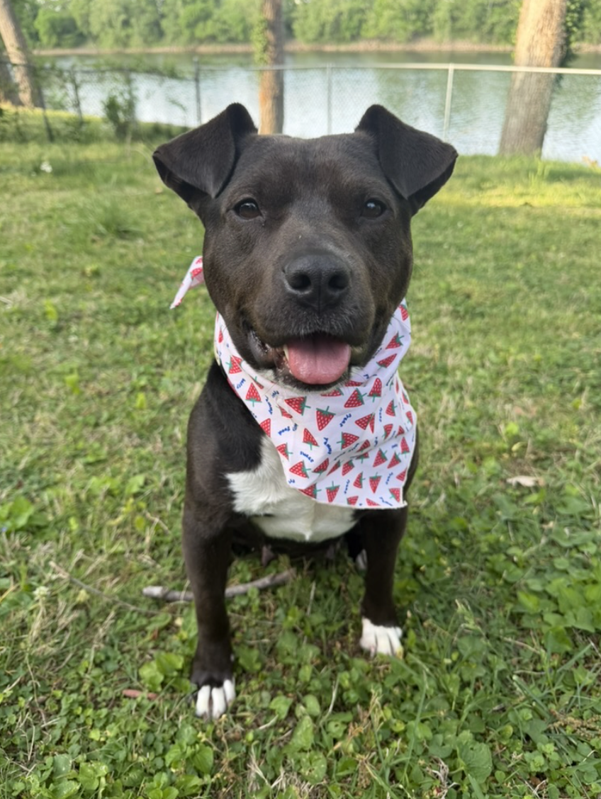 Screenshot 2026-04-22 at 5.52.55 PM.png