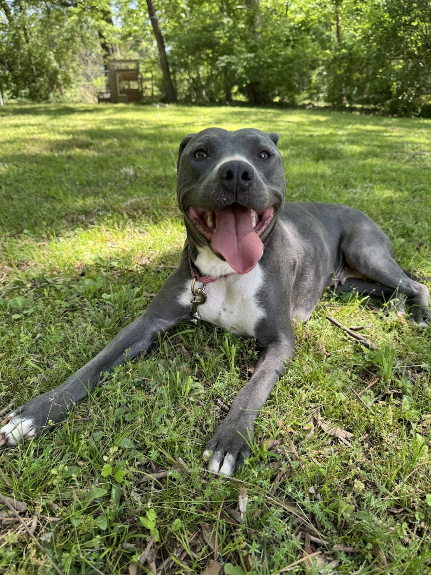 Screenshot 2026-04-22 at 3.37.23 PM.png