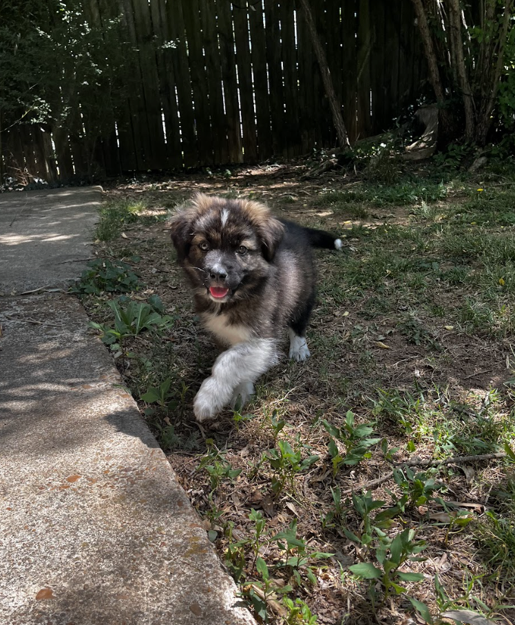 Screenshot 2026-04-23 at 6.51.37 PM.png