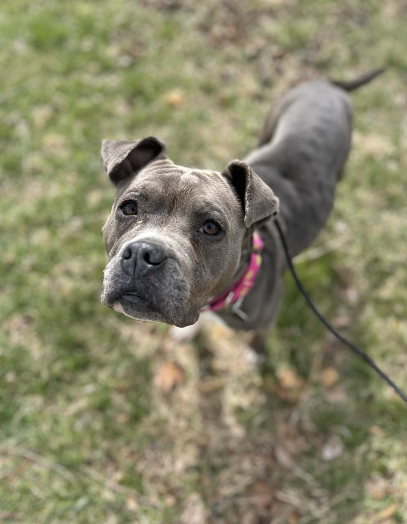 Screenshot 2026-02-25 at 12.59.08 PM.png