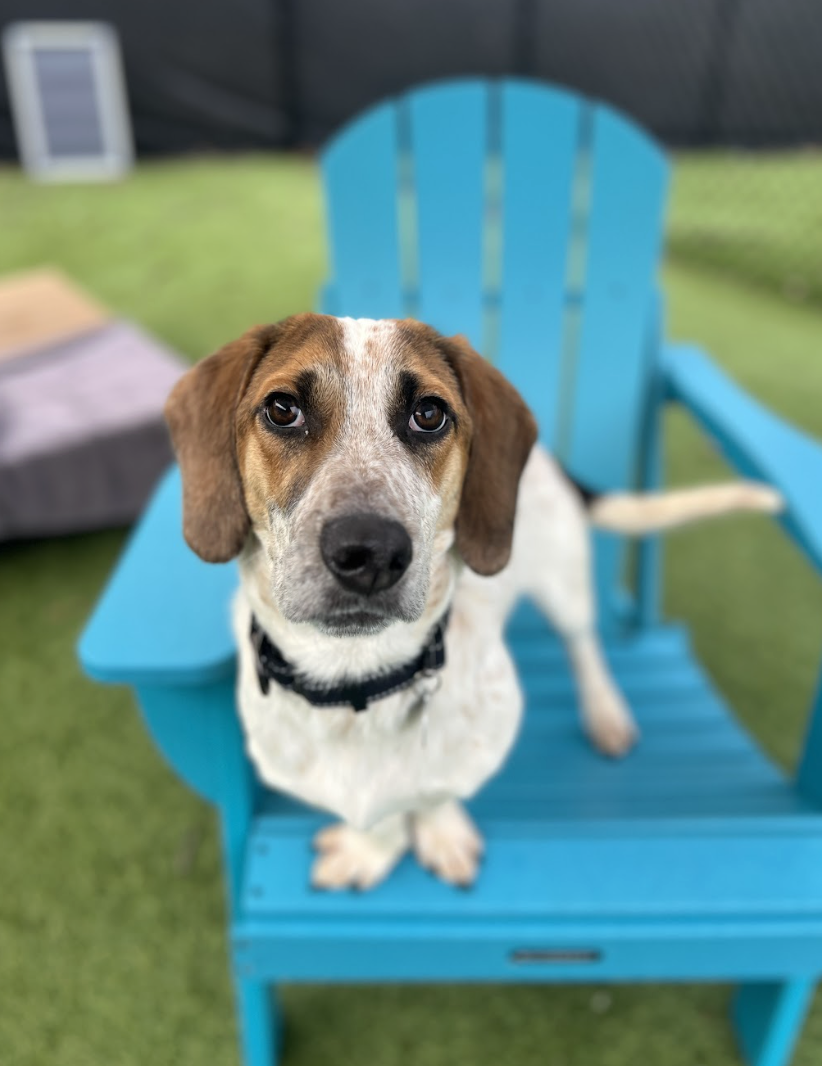 Screenshot 2026-02-05 at 2.24.43 PM.png