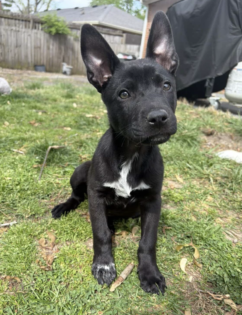 Screenshot 2026-04-08 at 3.25.07 PM.png