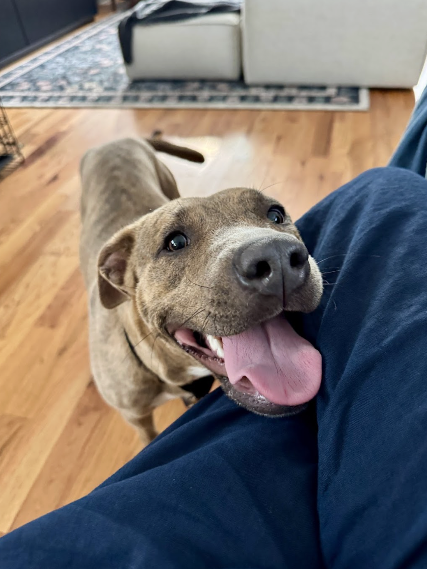 Screenshot 2026-04-22 at 4.57.00 PM.png