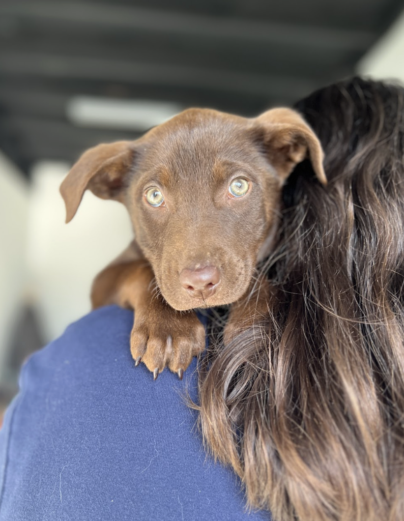 Screenshot 2026-01-15 at 3.27.08 PM.png