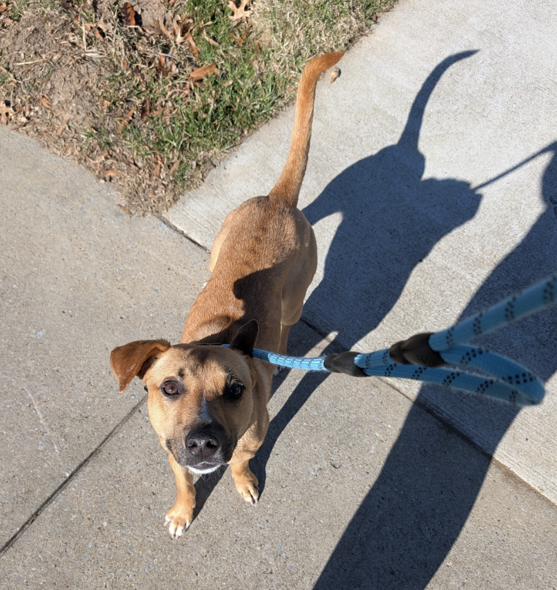 Screenshot 2026-01-14 at 9.12.17 PM.png