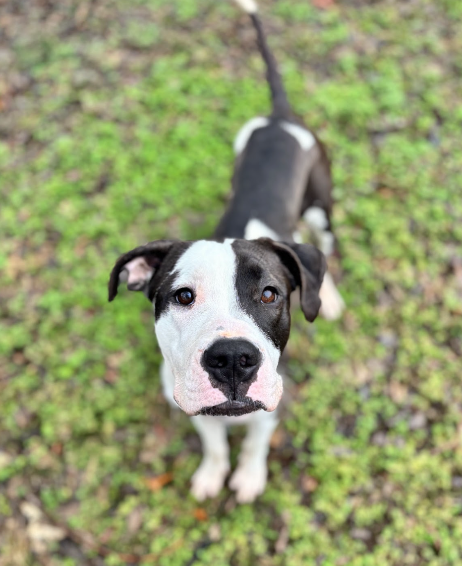 Screenshot 2026-04-21 at 5.31.38 PM.png