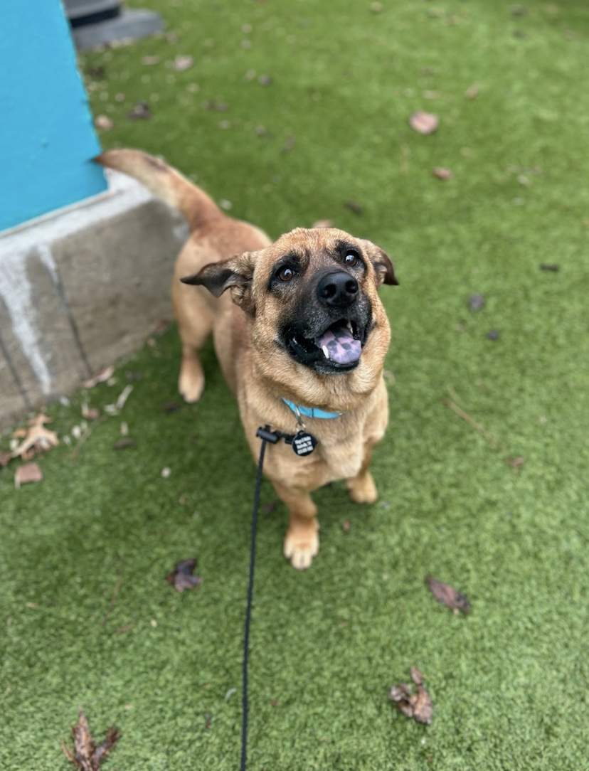 Screenshot 2025-12-18 at 1.49.31 PM.png