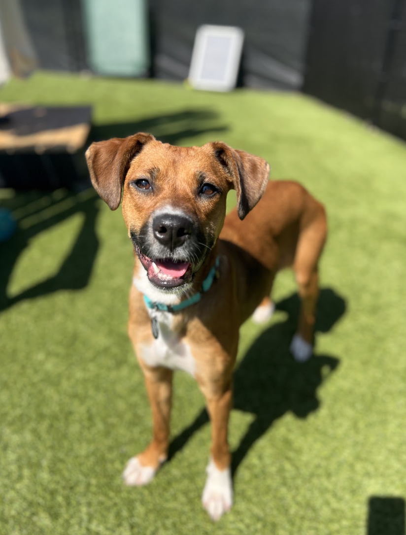 Screenshot 2026-03-20 at 2.30.04 PM.png