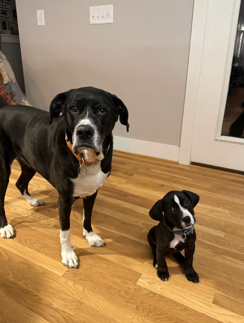 Screenshot 2026-02-26 at 1.39.21 PM.png