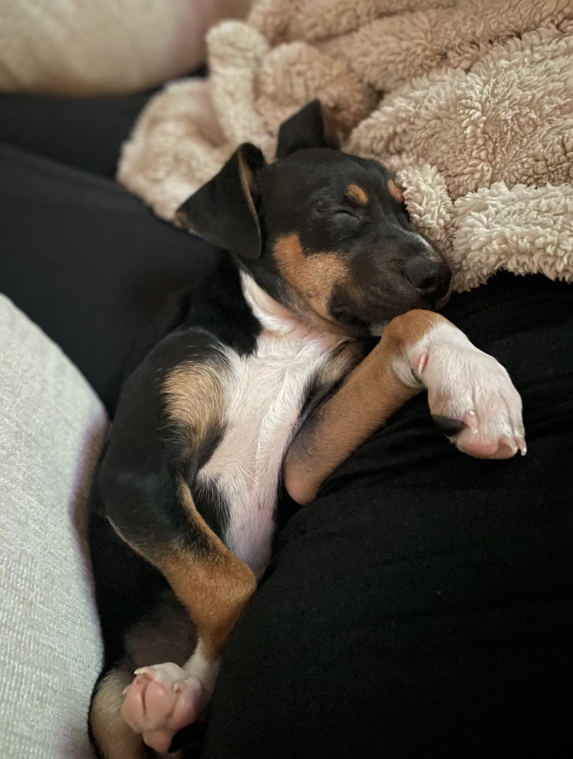 Screenshot 2026-02-26 at 1.20.33 PM.png