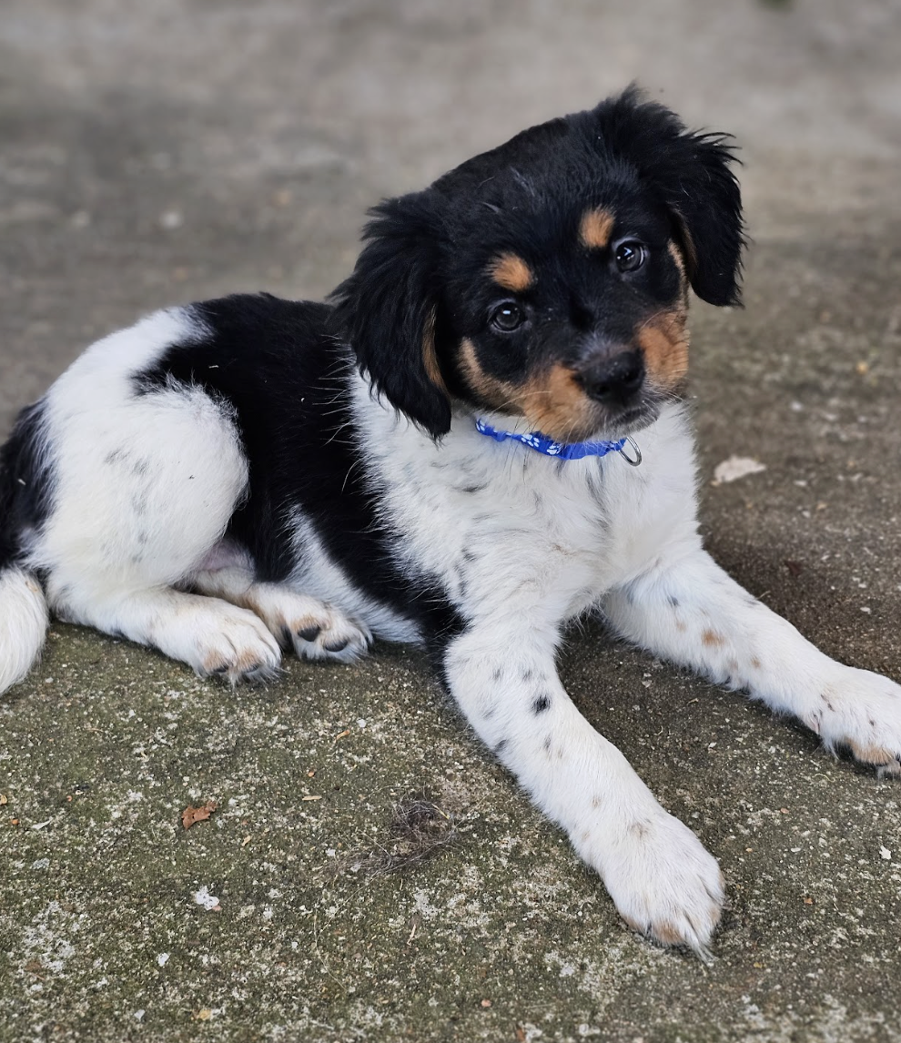 Screenshot 2026-04-03 at 1.00.16 PM.png