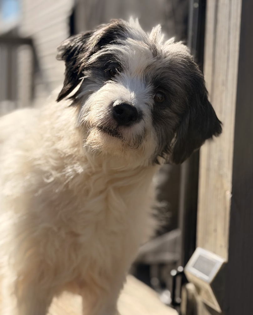 Screenshot 2026-02-28 at 4.16.49 PM.png