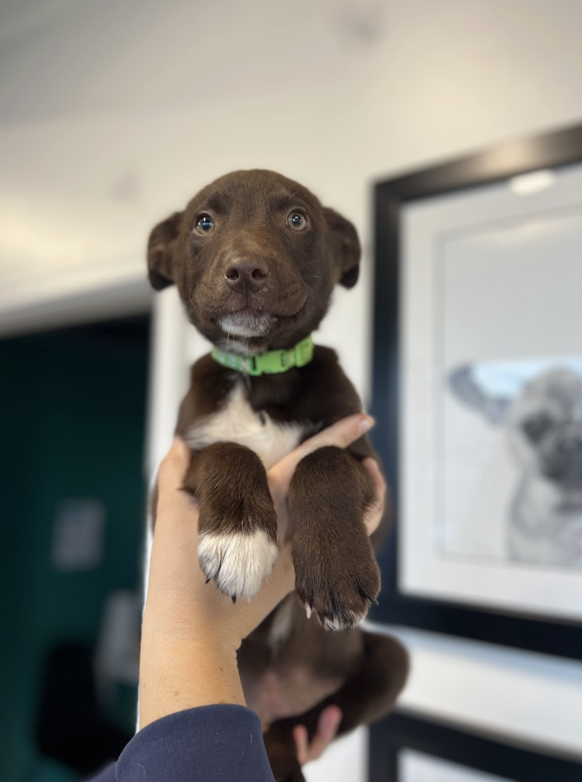 Screenshot 2026-01-15 at 6.48.25 PM.png