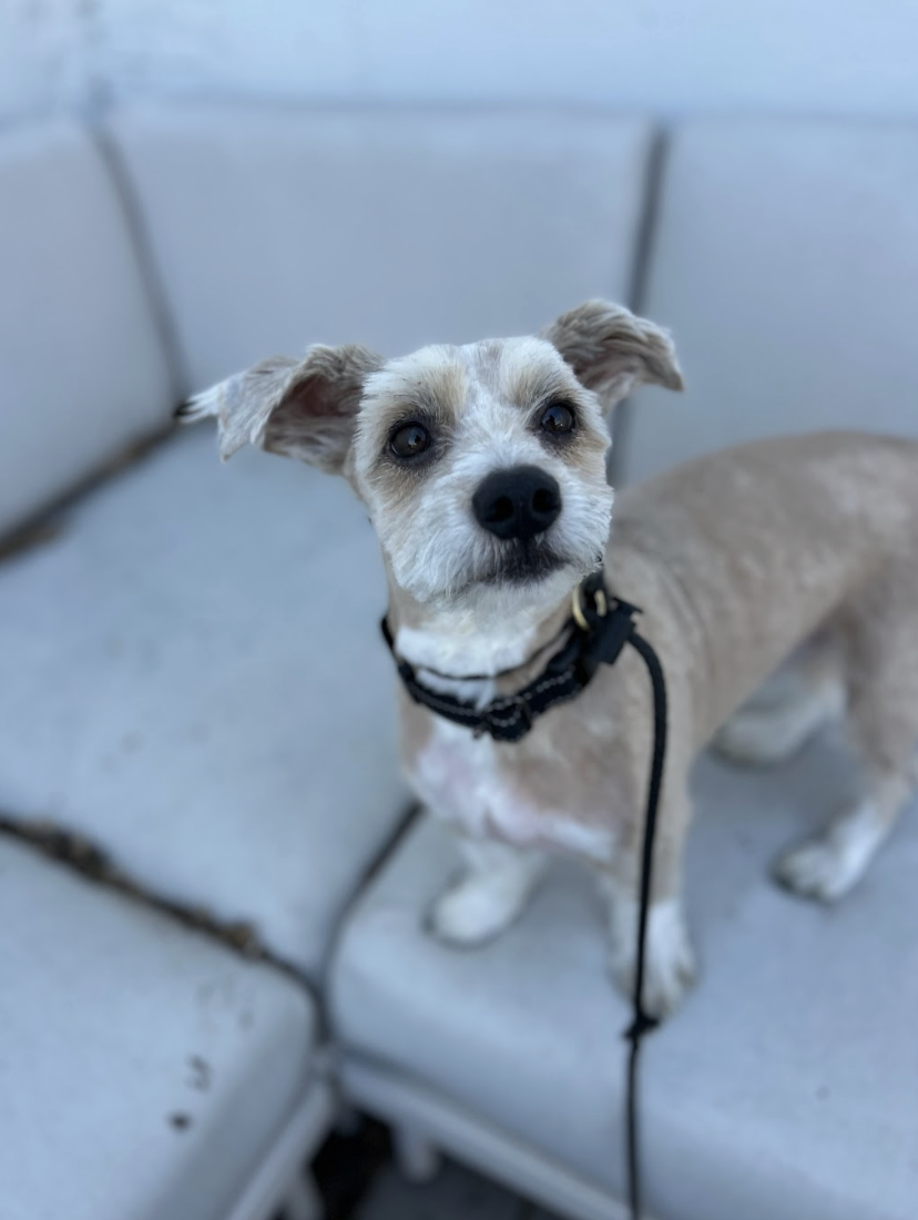 Screenshot 2026-03-14 at 6.31.43 PM.png