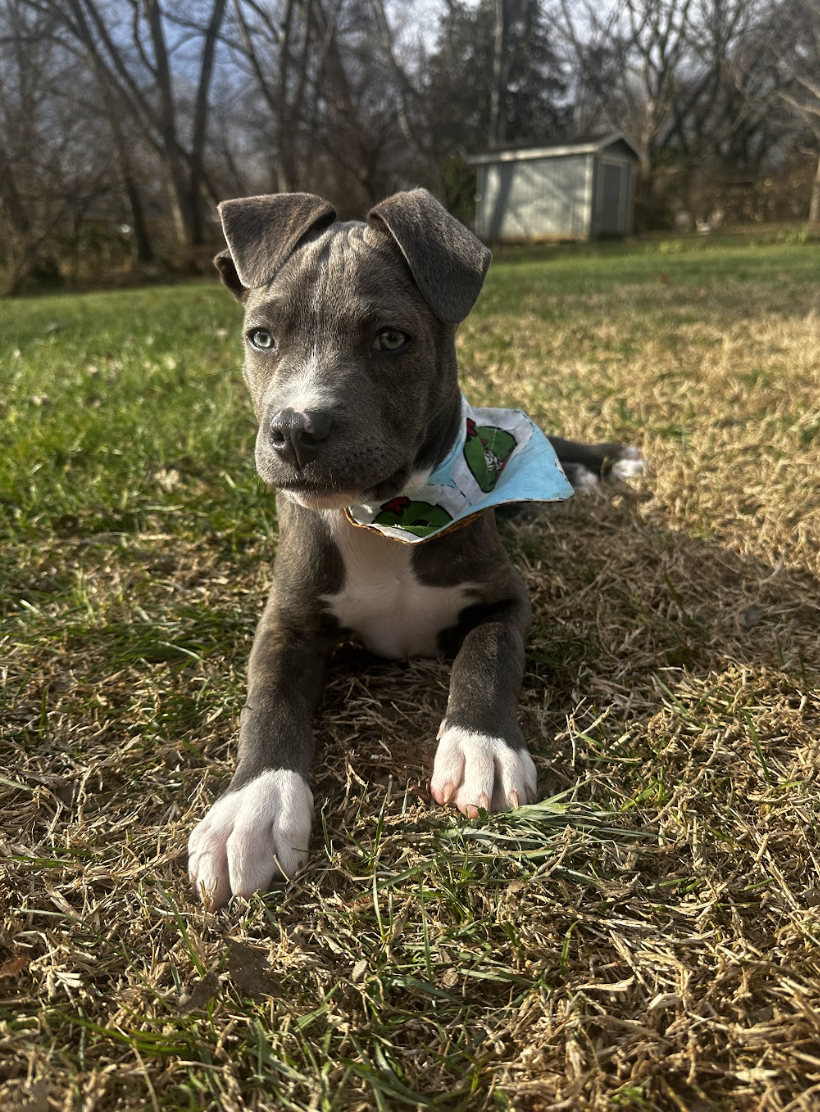 Screenshot 2026-01-08 at 1.23.58 PM.png