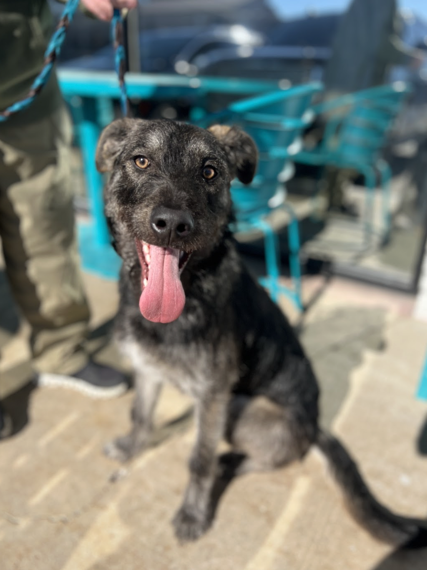 Screenshot 2026-02-19 at 2.51.54 PM.png