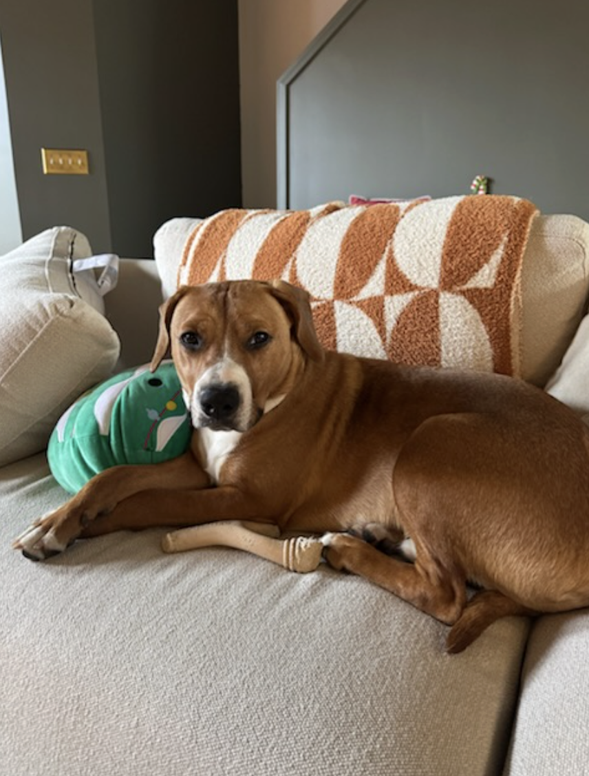 Screenshot 2026-04-22 at 3.28.50 PM.png