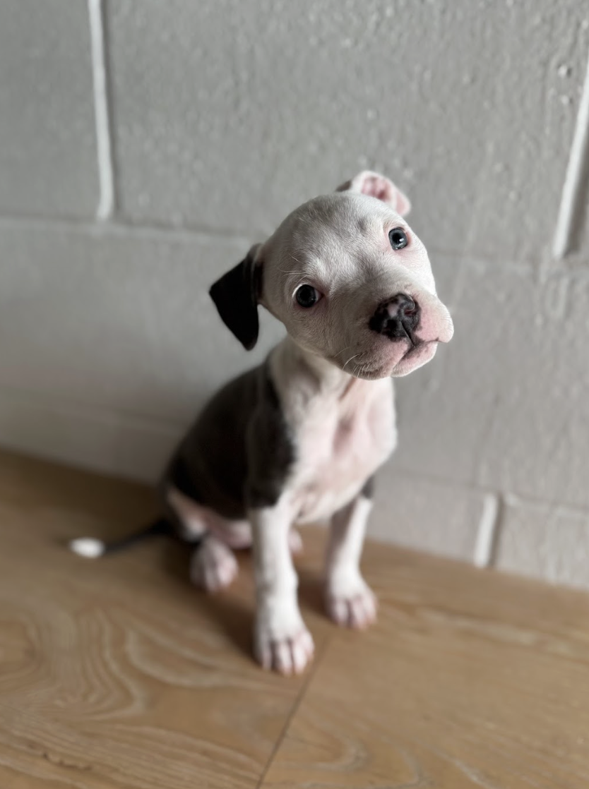 Screenshot 2026-03-14 at 1.32.24 PM.png