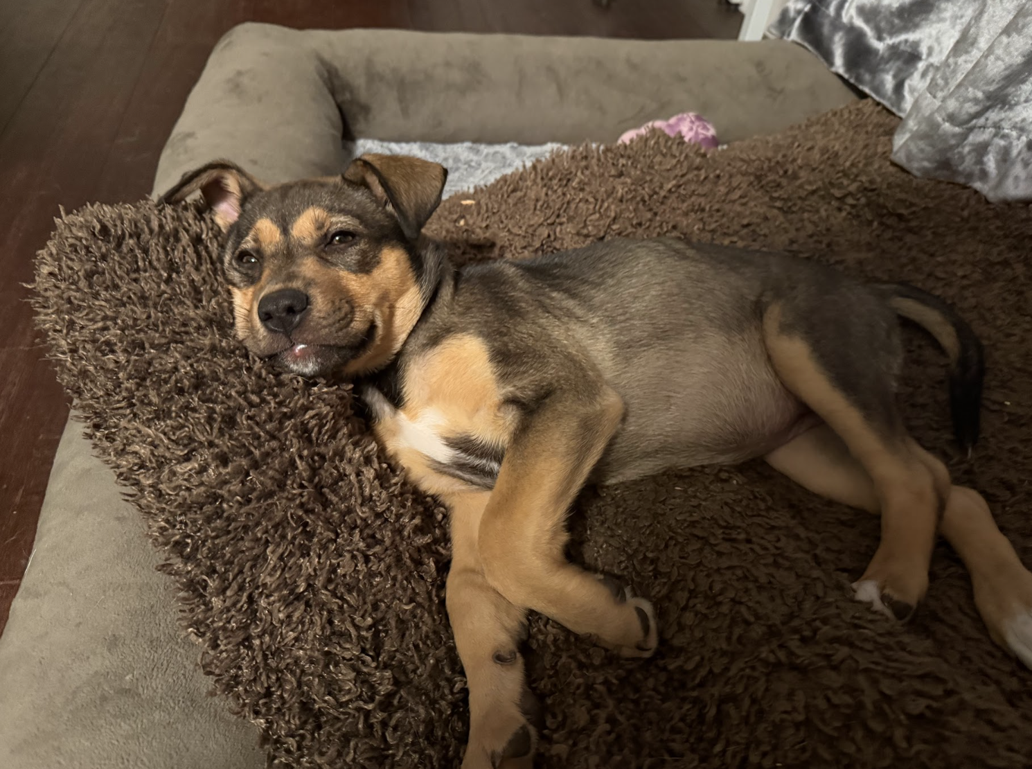 Screenshot 2026-04-23 at 7.29.52 PM.png