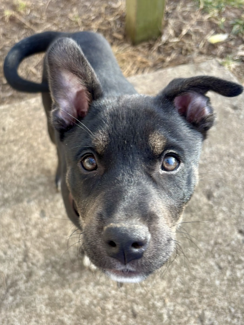 Screenshot 2026-02-20 at 12.24.14 PM.png