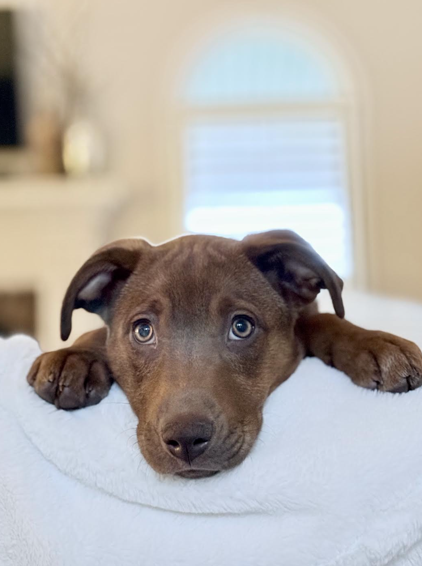 Screenshot 2026-03-19 at 1.01.54 PM.png