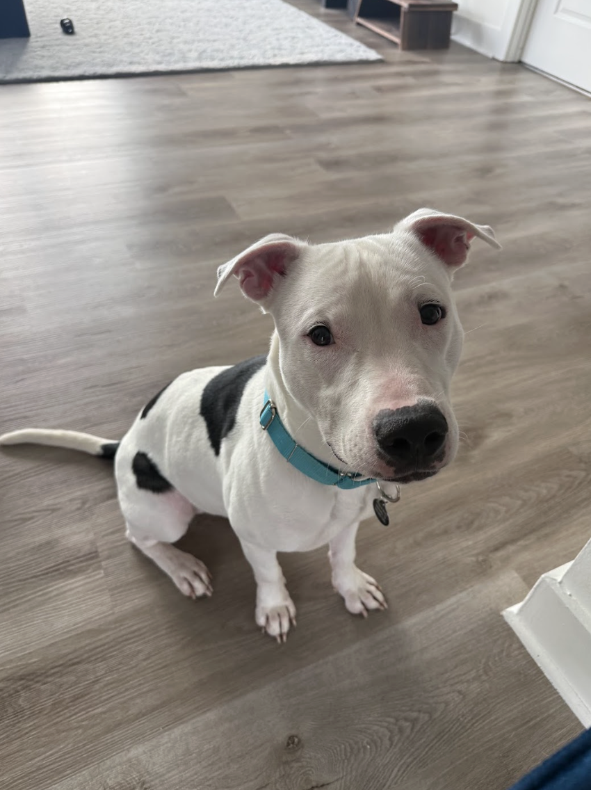 Screenshot 2026-01-14 at 12.28.57 PM.png