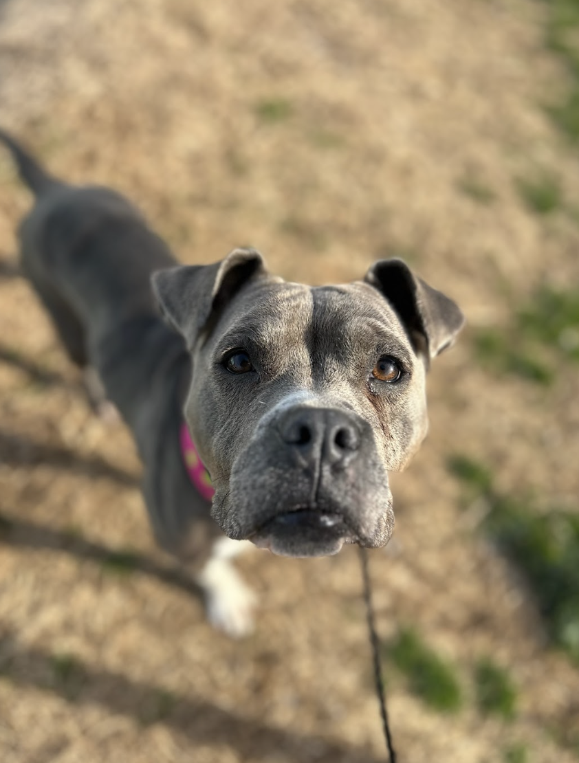 Screenshot 2026-02-25 at 12.58.19 PM.png