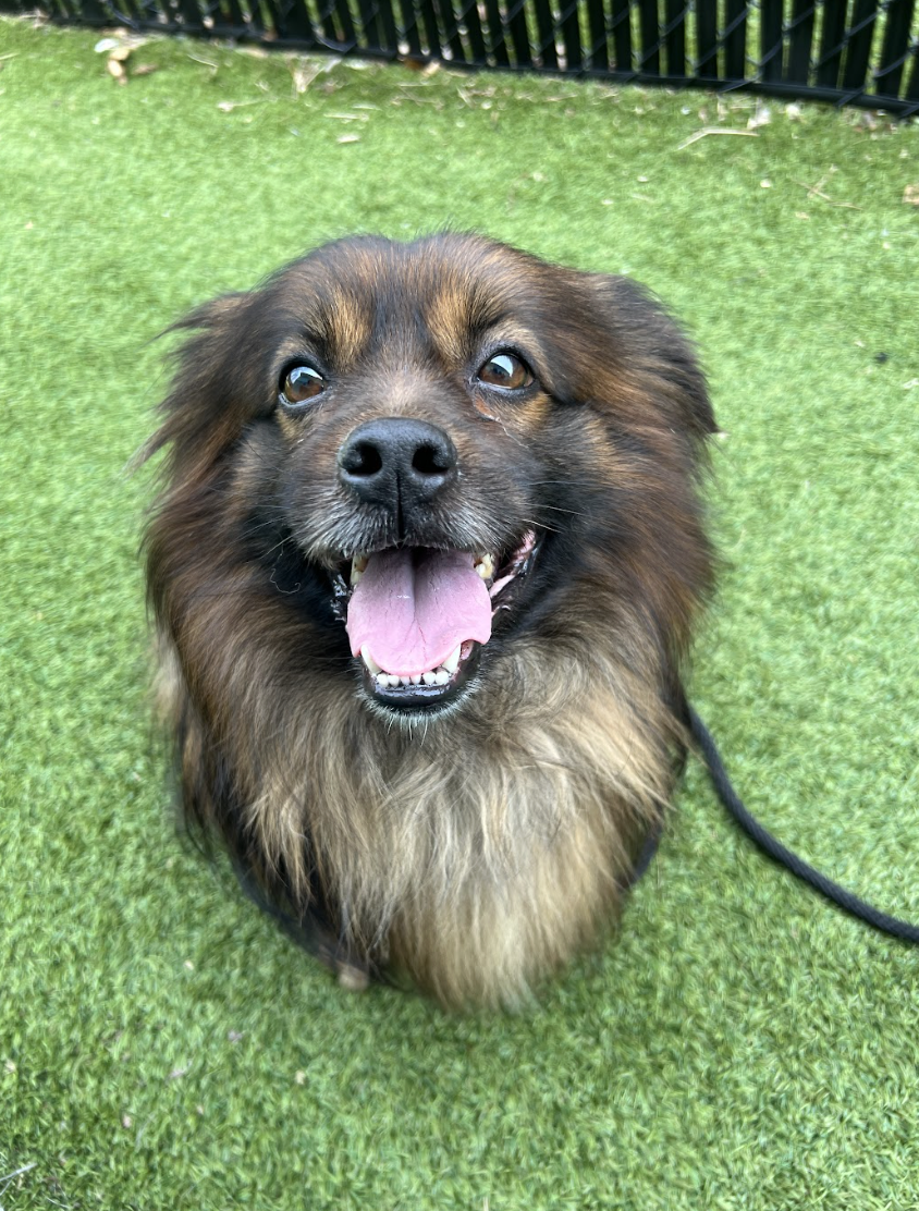 Screenshot 2026-03-14 at 4.54.37 PM.png