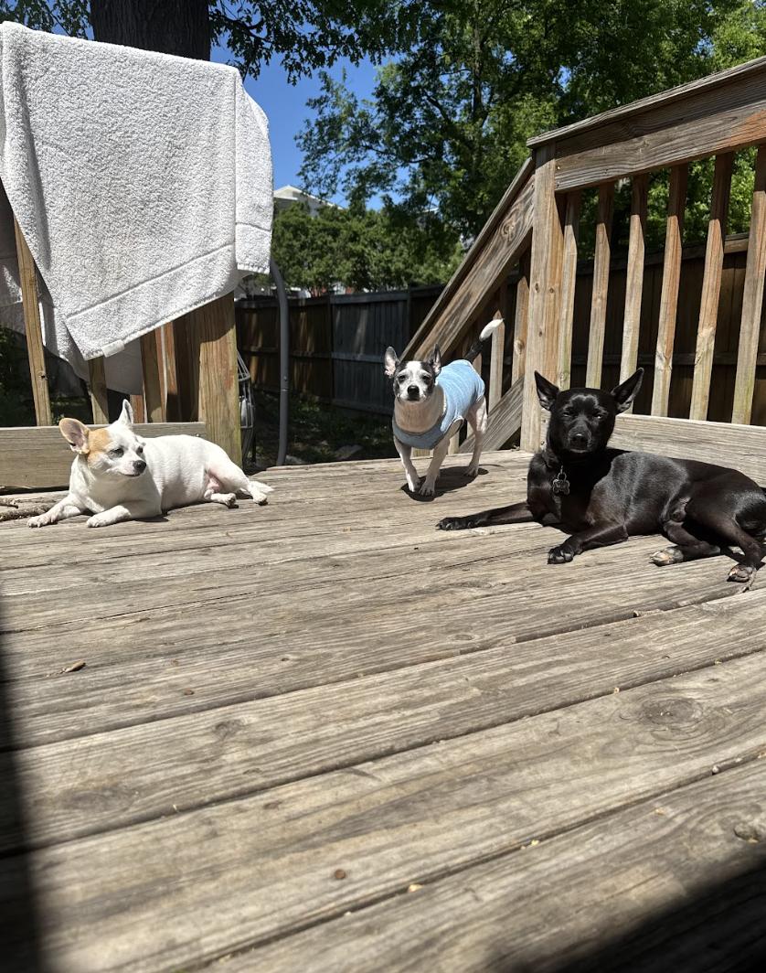 Screenshot 2026-04-22 at 4.13.04 PM.png