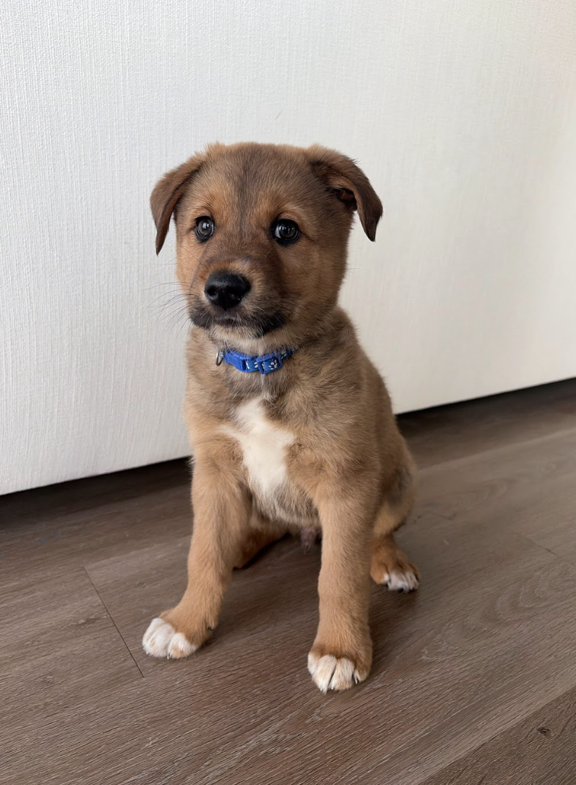 Screenshot 2026-03-05 at 6.17.19 PM.png