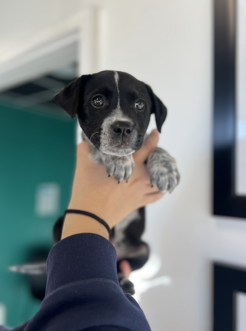 Screenshot 2026-01-15 at 6.46.23 PM.png