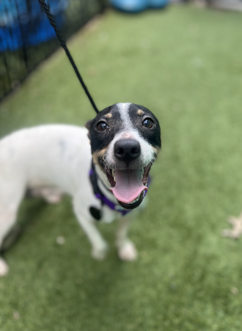 Screenshot 2026-04-21 at 1.49.20 PM.png