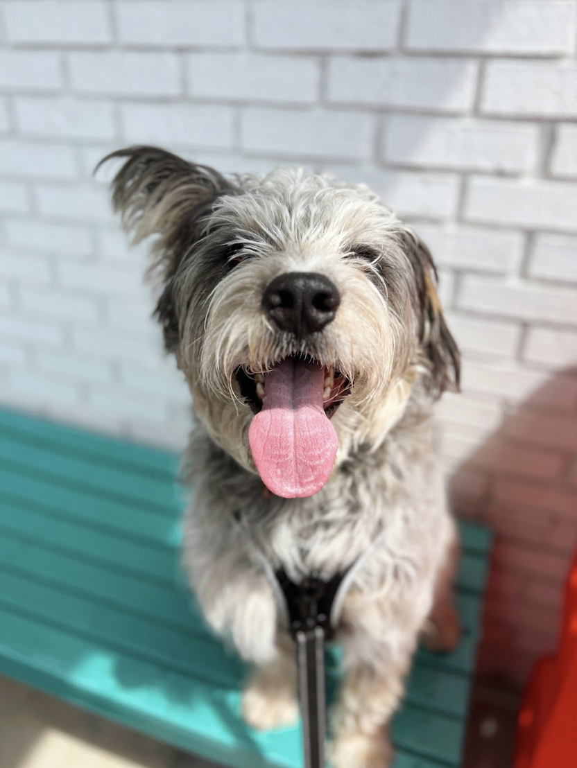 Screenshot 2026-04-22 at 6.01.29 PM.png