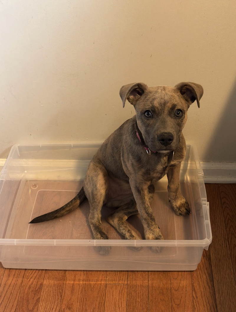 Screenshot 2026-02-20 at 4.14.38 PM.png