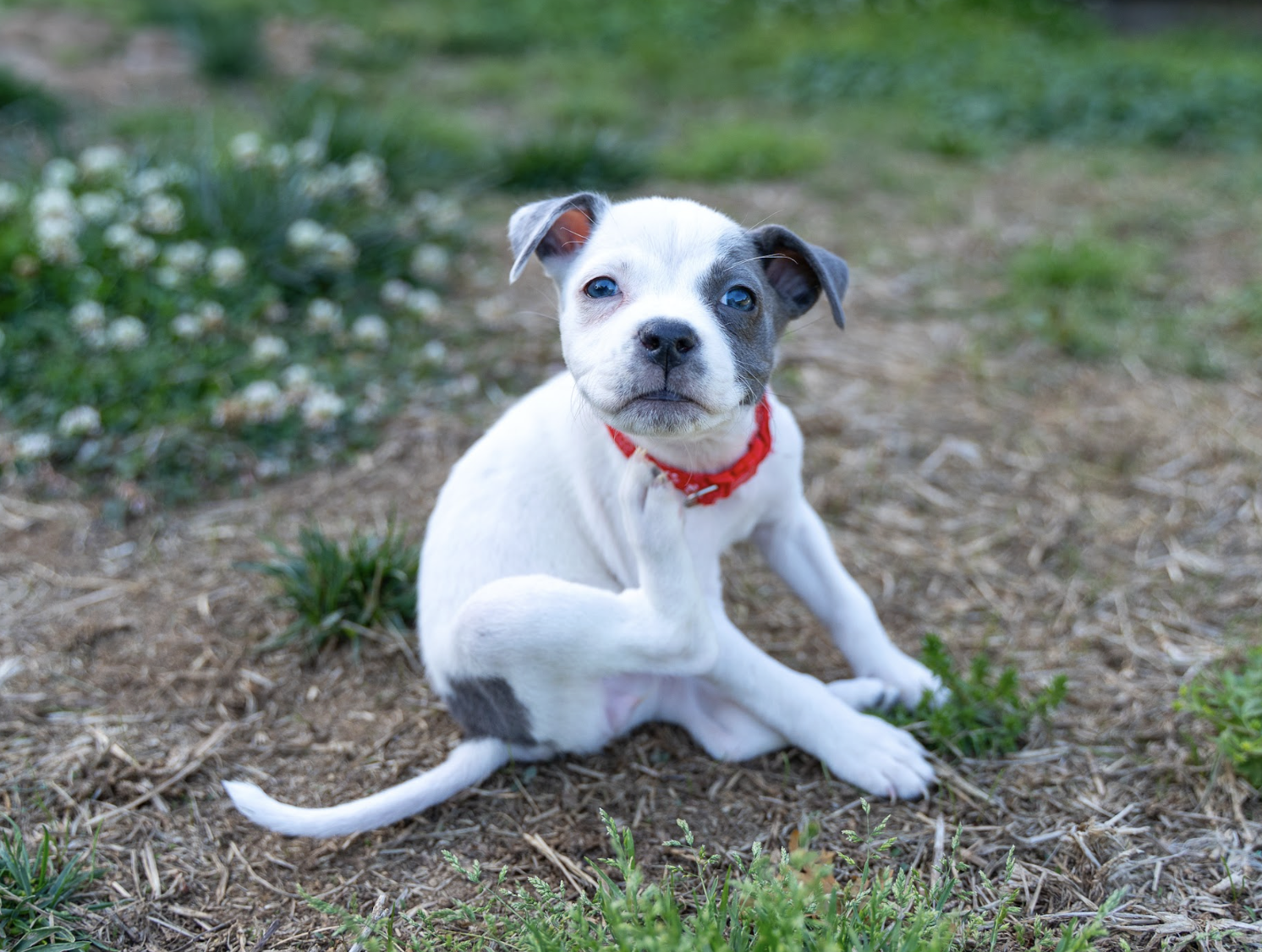 Screenshot 2026-04-23 at 2.16.35 PM.png