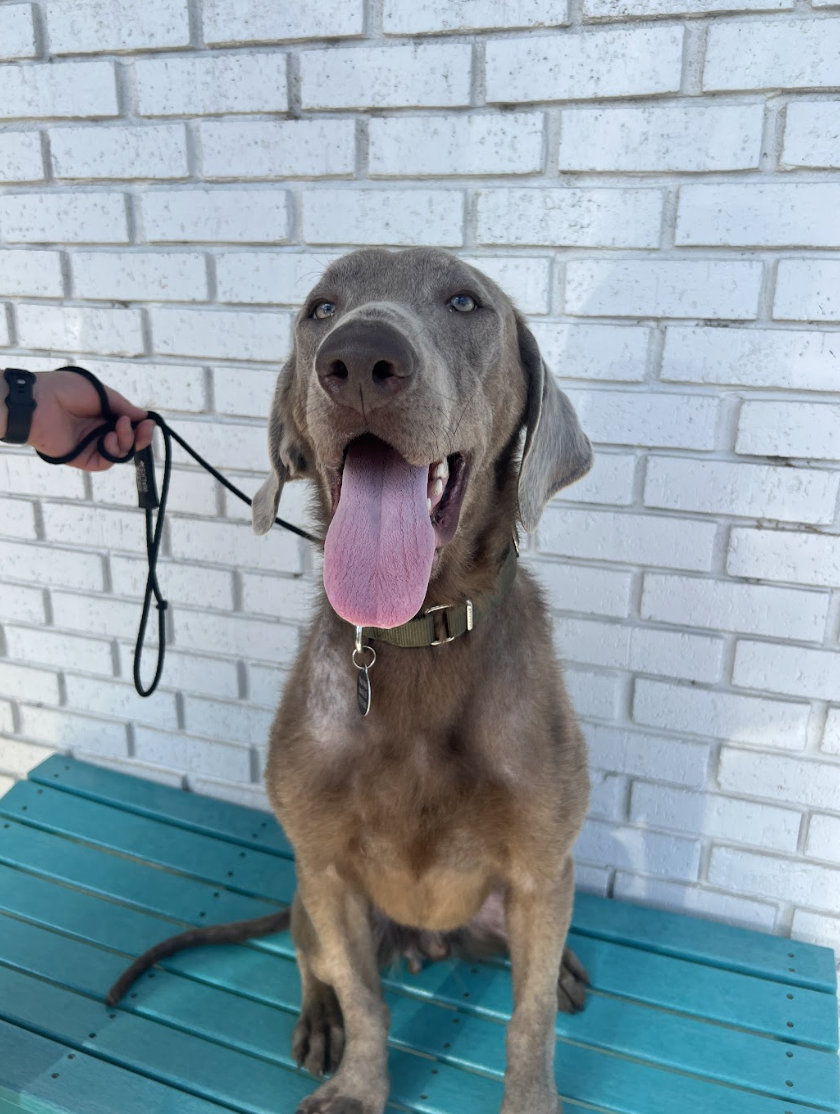 Screenshot 2026-04-23 at 1.49.53 PM.png