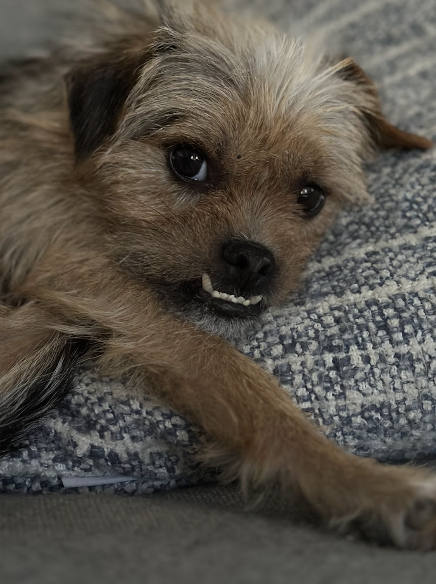 Screenshot 2026-01-14 at 9.27.49 PM.png