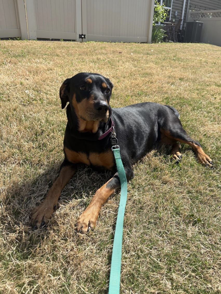 Screenshot 2026-04-22 at 4.53.42 PM.png