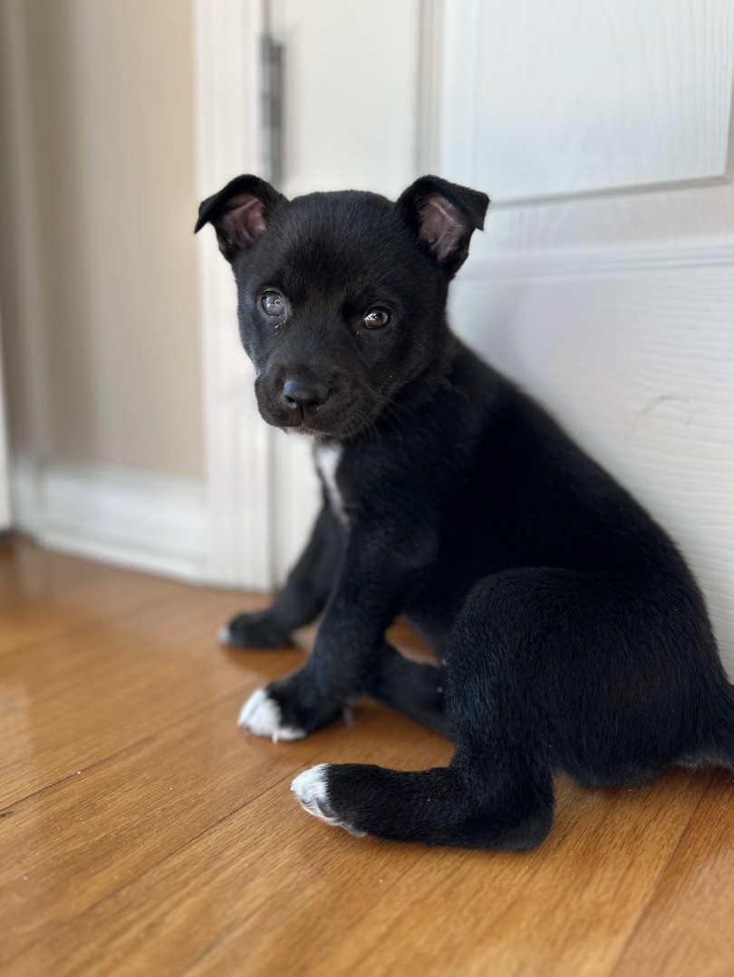 Screenshot 2026-01-15 at 7.50.51 PM.png