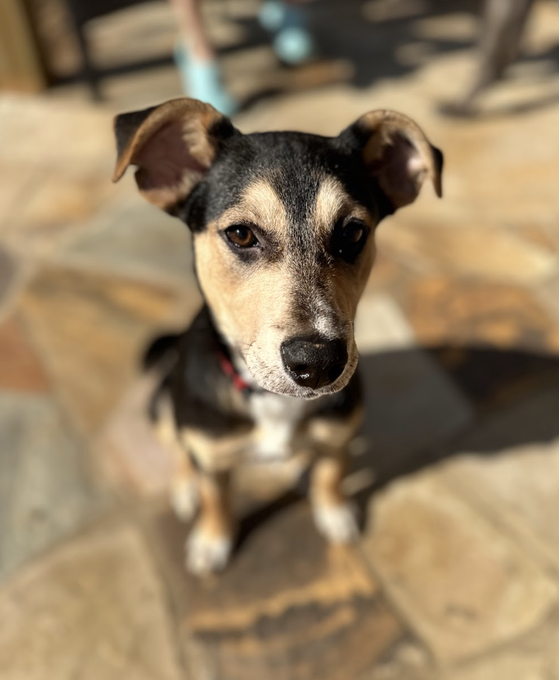 Screenshot 2026-04-03 at 1.05.58 PM.png