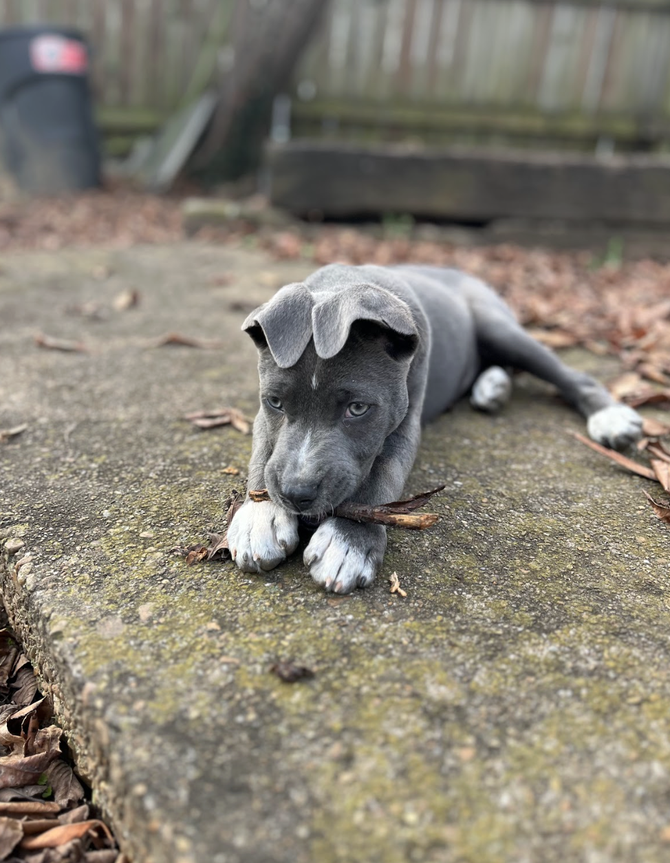 Screenshot 2025-12-26 at 4.58.47 PM.png