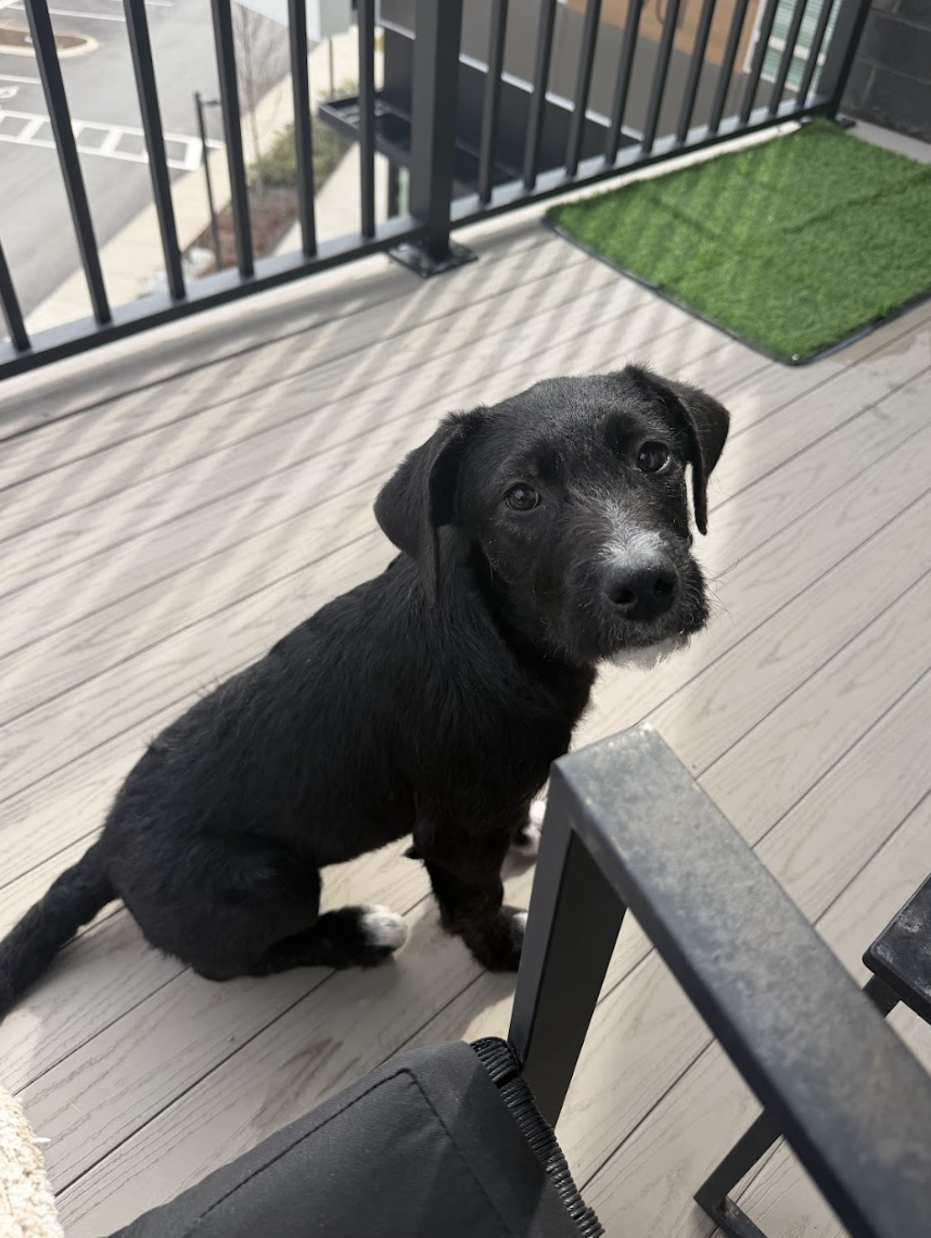 Screenshot 2026-02-27 at 1.00.55 PM.png