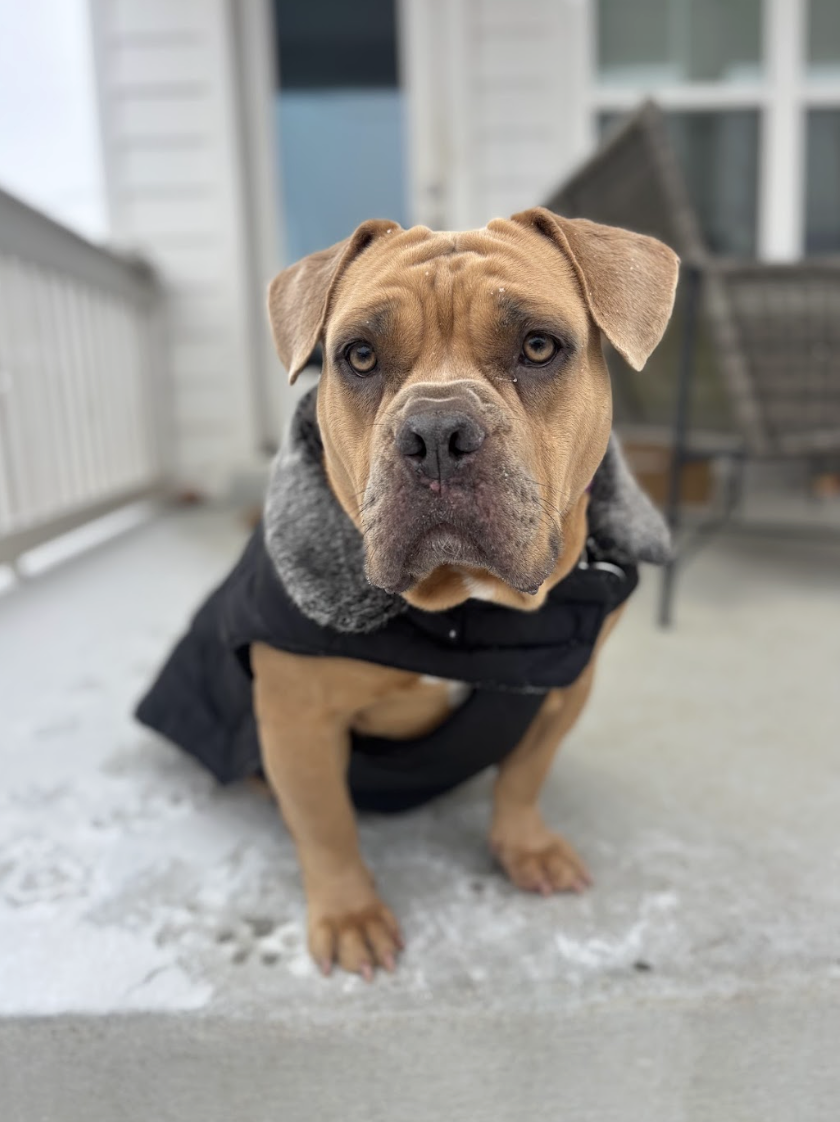 Screenshot 2026-02-26 at 2.25.09 PM.png