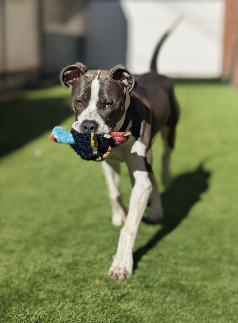 Screen Shot 2026-01-09 at 2.28.44 PM.png