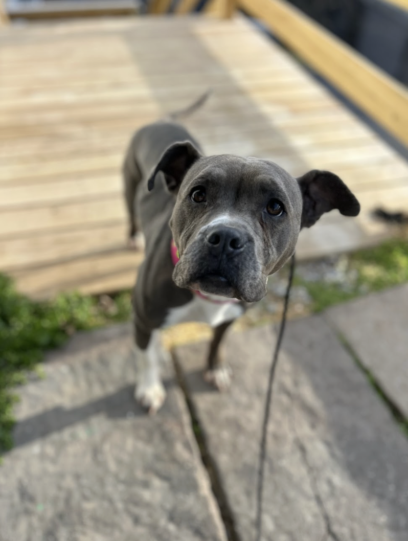 Screenshot 2026-02-25 at 12.58.53 PM.png