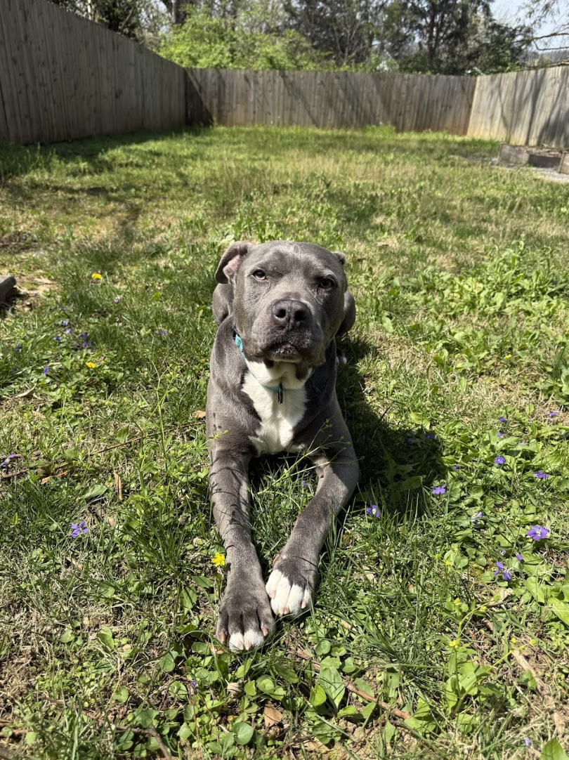 Screenshot 2026-04-22 at 5.01.21 PM.png