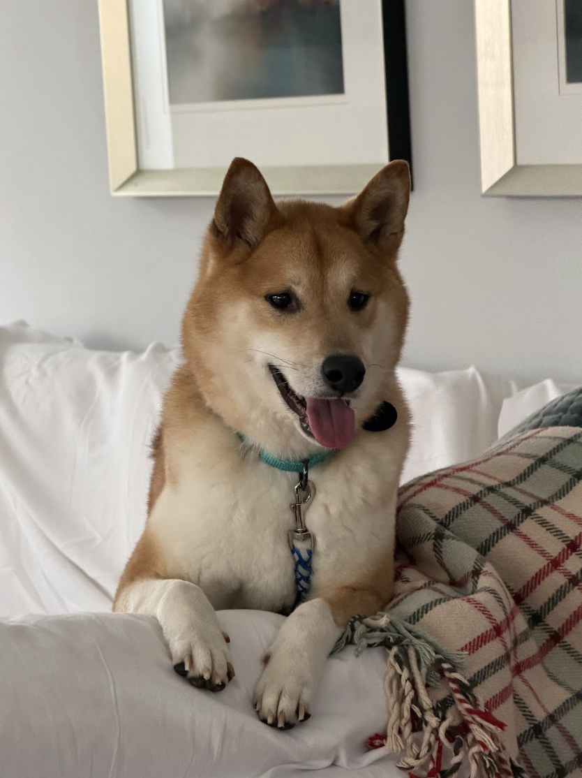 Screenshot 2026-03-21 at 2.03.12 PM.png