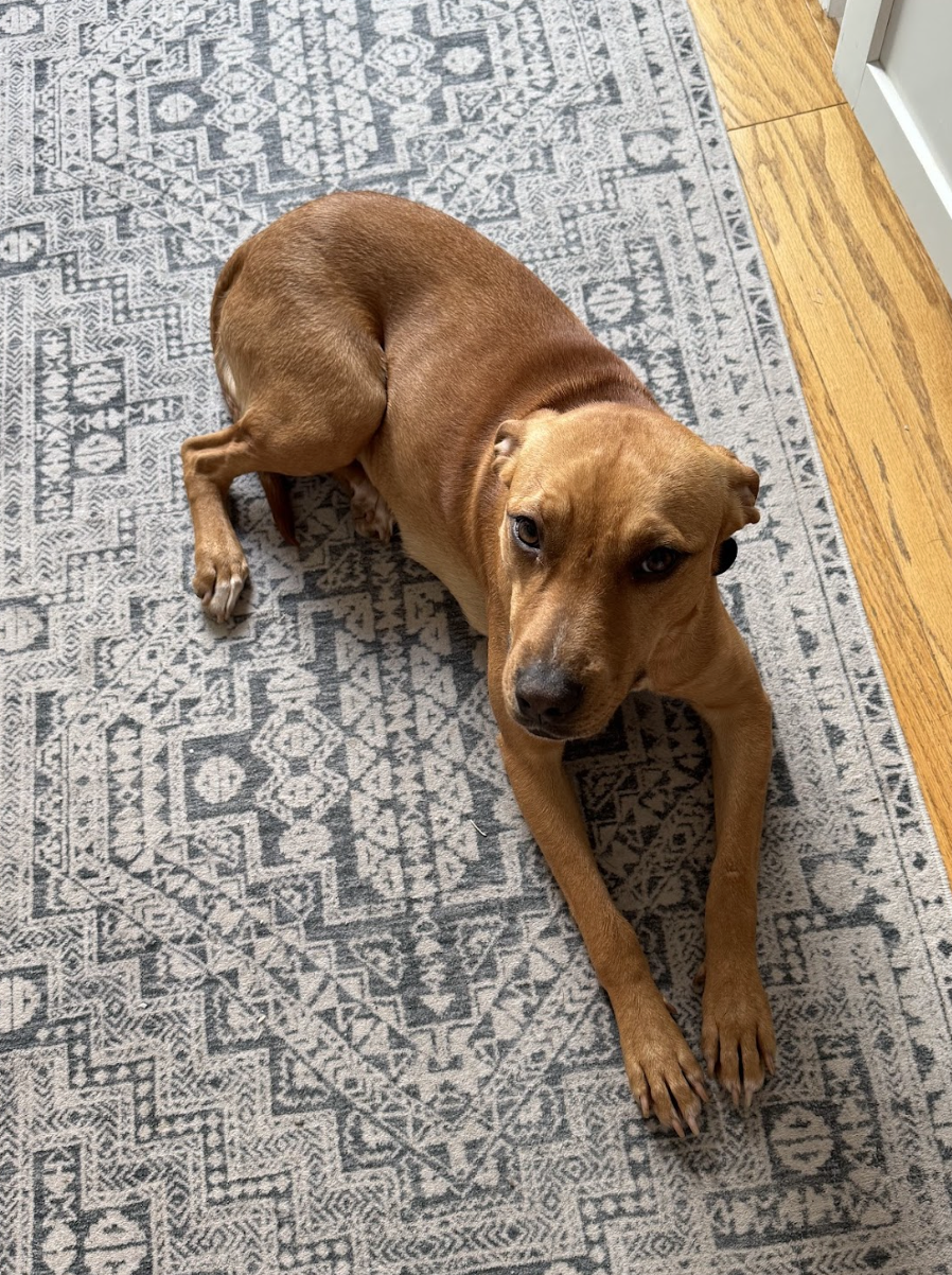 Screenshot 2026-02-27 at 2.06.39 PM.png