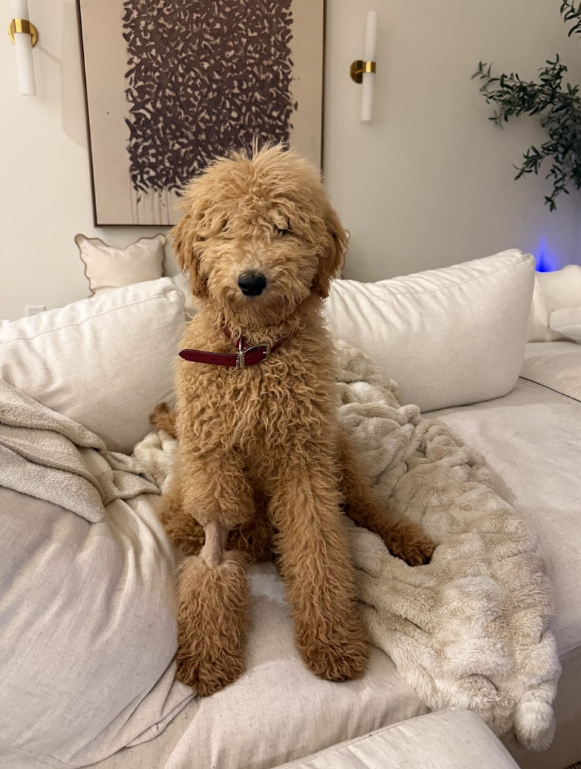 Screenshot 2026-04-27 at 1.13.09 PM.png