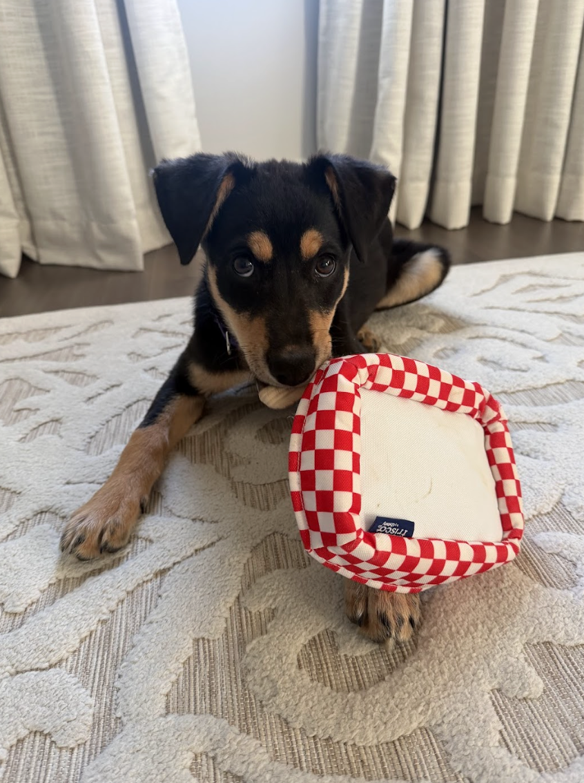 Screenshot 2026-04-20 at 2.44.32 PM.png